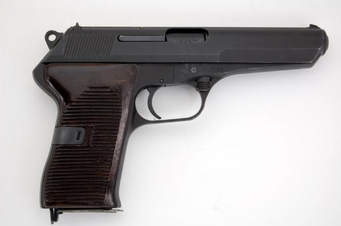 30 bore pistol license in india